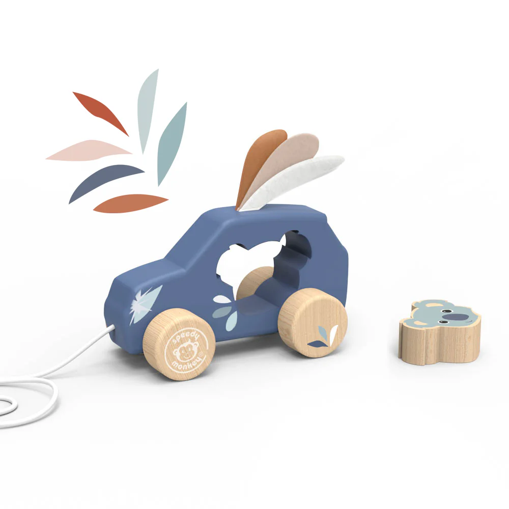 SP1038_PULL_ALONG_CAR_2