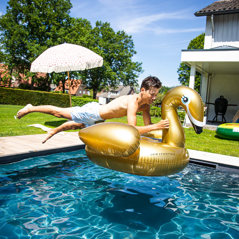 Dreamscape_Gold_Swan_Big_Floats-9